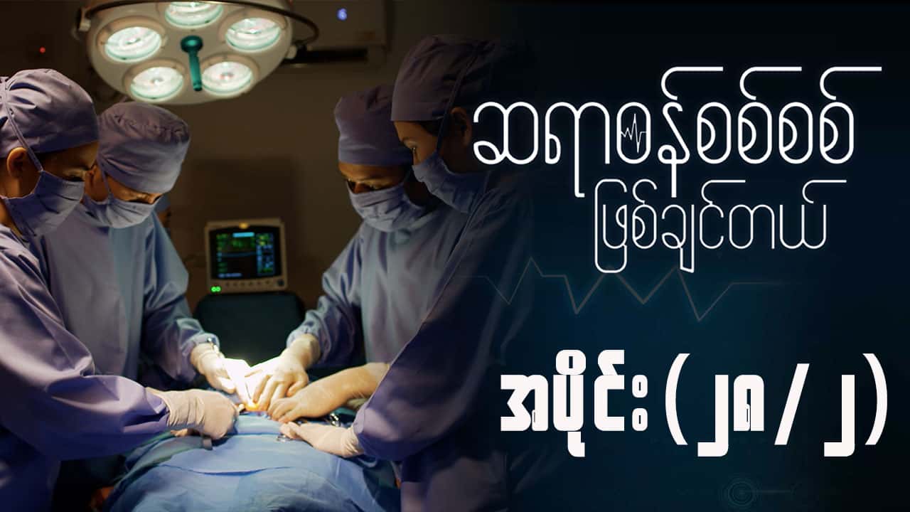 ဆရာဝန်စစ်စစ်ဖြစ်ချင်တယ်-အပိုင်း ၂၈/၂