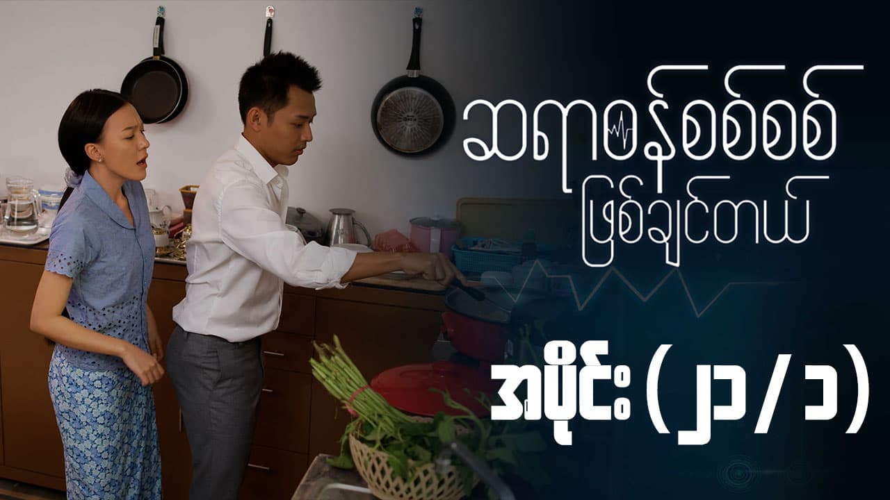 ဆရာဝန်စစ်စစ်ဖြစ်ချင်တယ်-အပိုင်း ၂၁/၁